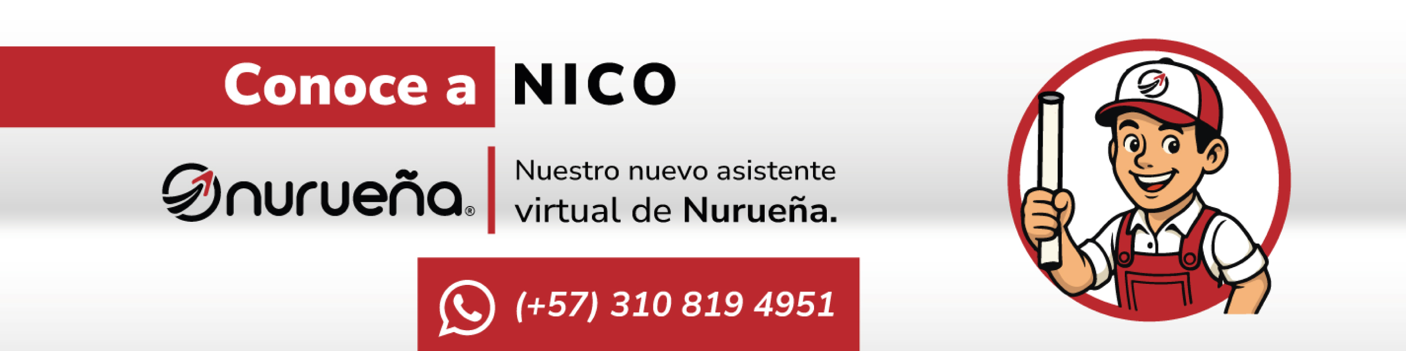 Imagen 5